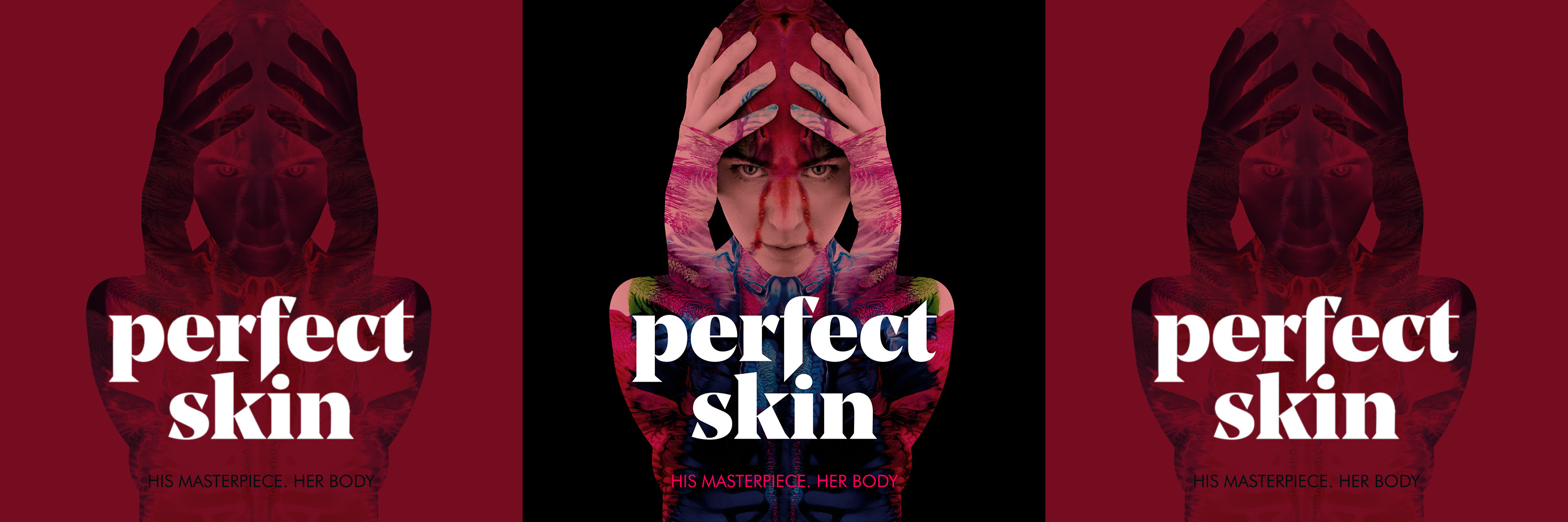 «Perfect Skin» (DVD/Blu-ray) w/ 'Invisible Sun' (Score Version ...